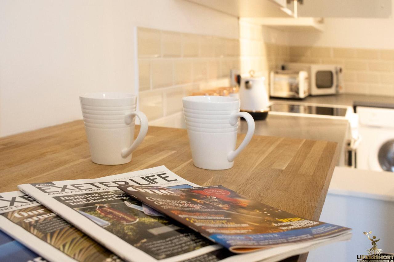 Beautiful Central Exeter Apartment 5 Min Walk Quay Εξωτερικό φωτογραφία